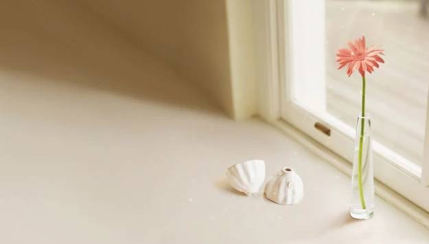 短信驗(yàn)證碼哪家好？