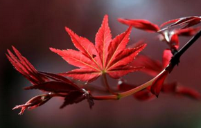 企業(yè)選擇短信營銷平臺的好處 企業(yè)選擇短信營銷平臺的好處