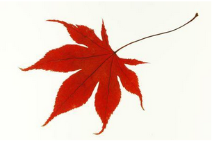 短信群發(fā)平臺安全嗎 短信群發(fā)平臺安全嗎